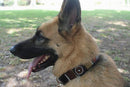Topi Beaded Dog Collar - Dog Collars - Maasai
