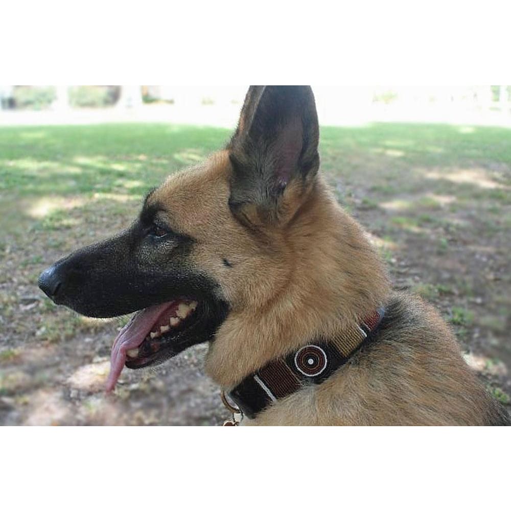 Topi Beaded Dog Collar - Dog Collars - Maasai