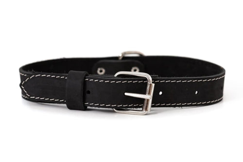 Traditional Black Leather Dog Collar - Dog Collars - Euro