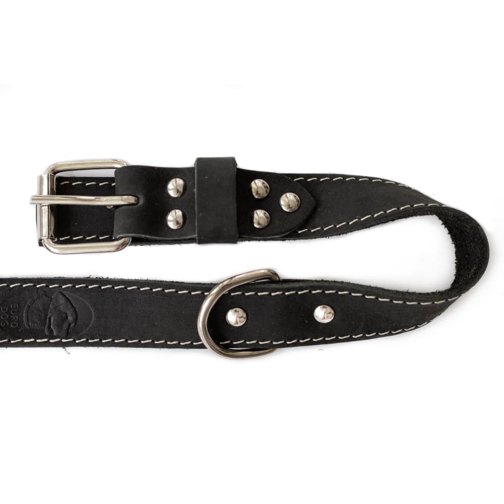Traditional Black Leather Dog Collar Dog Collars Euro Style