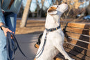 Traditional Blue Jeans Leather Leash - Dog Leash