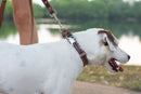 Traditional Chocolate Leather Leash - Dog Leash - Euro Style