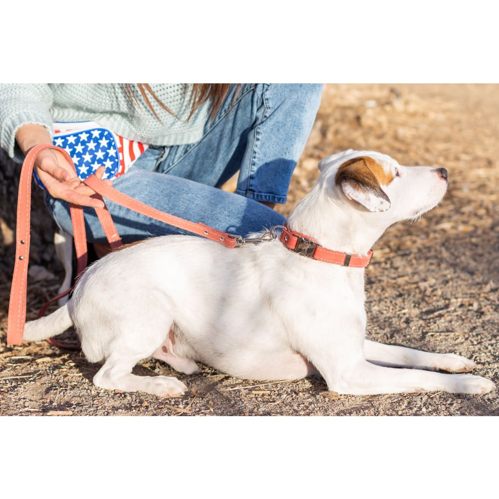 Traditional Coral Reef Leather Leash - Dog Leash - Euro