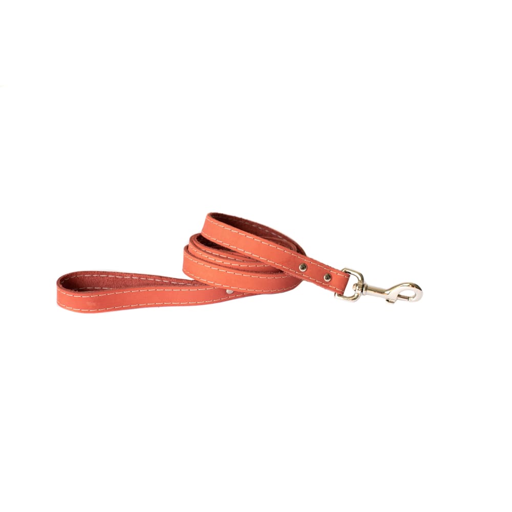Traditional Coral Reef Leather Leash - Dog Leash - Euro