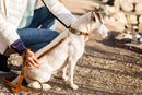 Traditional Earth Brown Leather Dog Leash - Dog Leash