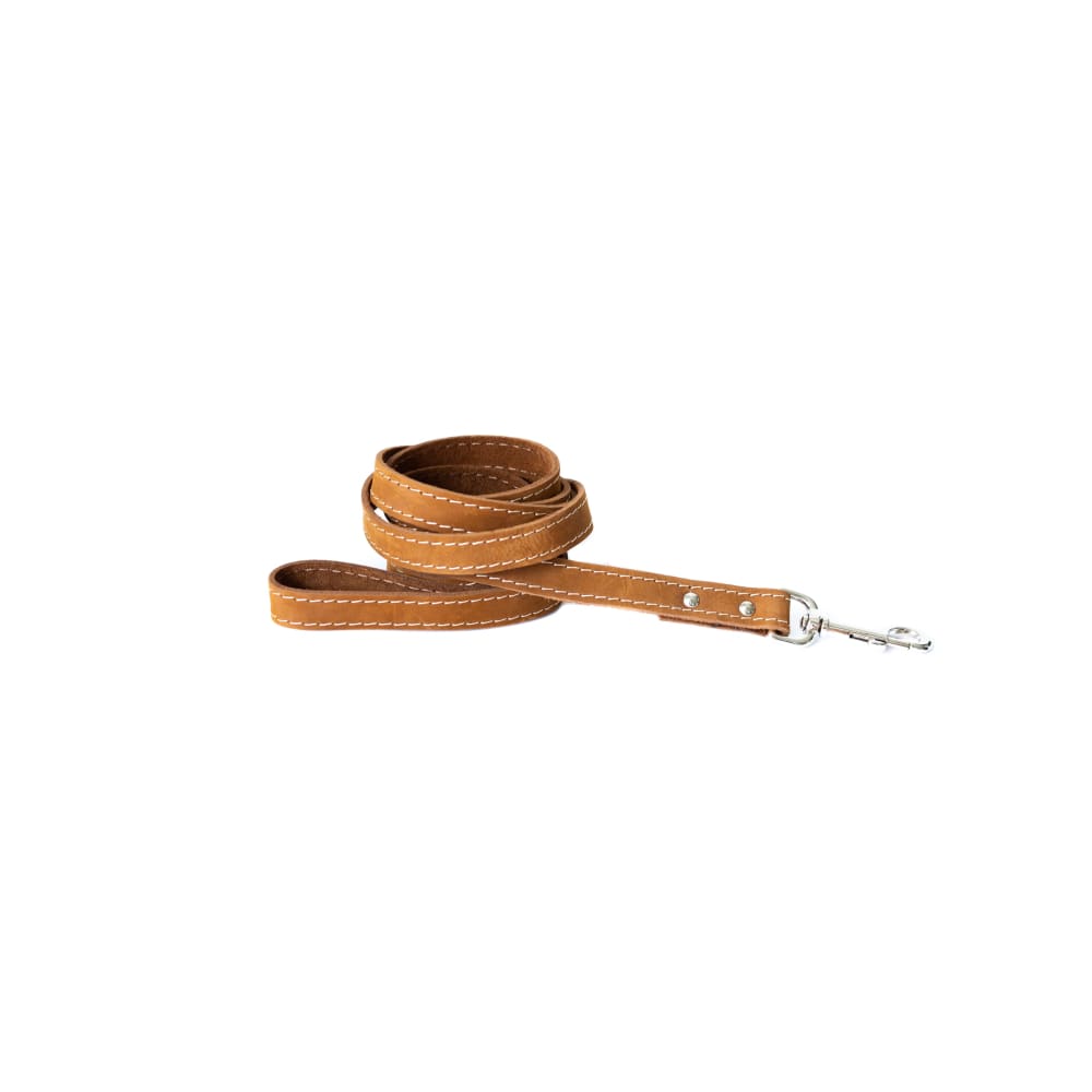 Traditional Earth Brown Leather Dog Leash - Dog Leash