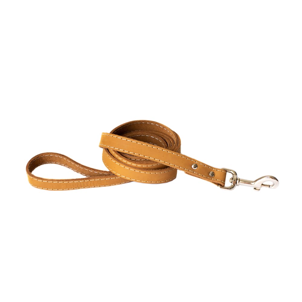 Traditional Khaki Leather Leash - Dog Leash - Euro Style