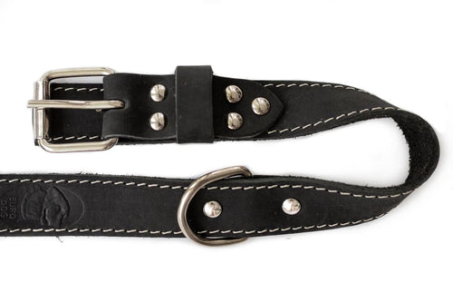 Traditional Style Leather Collar and Leash Set - Dog