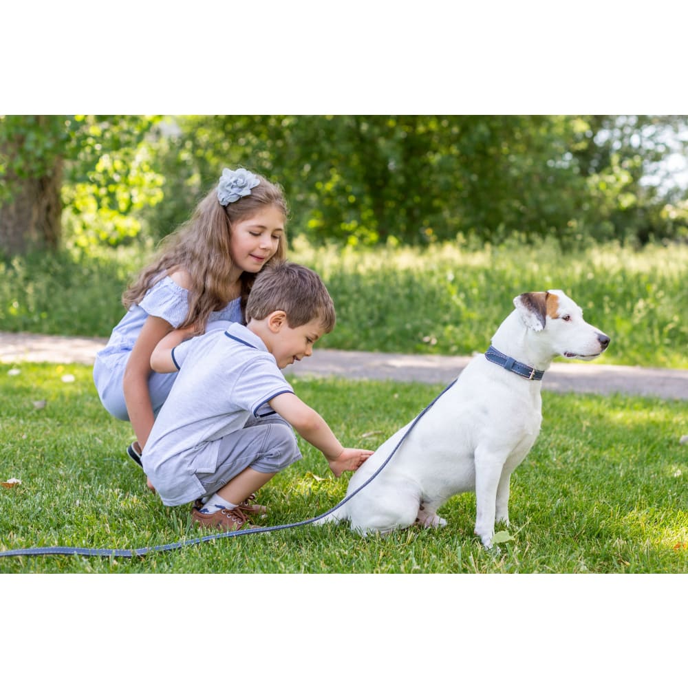 Traditional Style Leather Collar and Leash Set - Dog