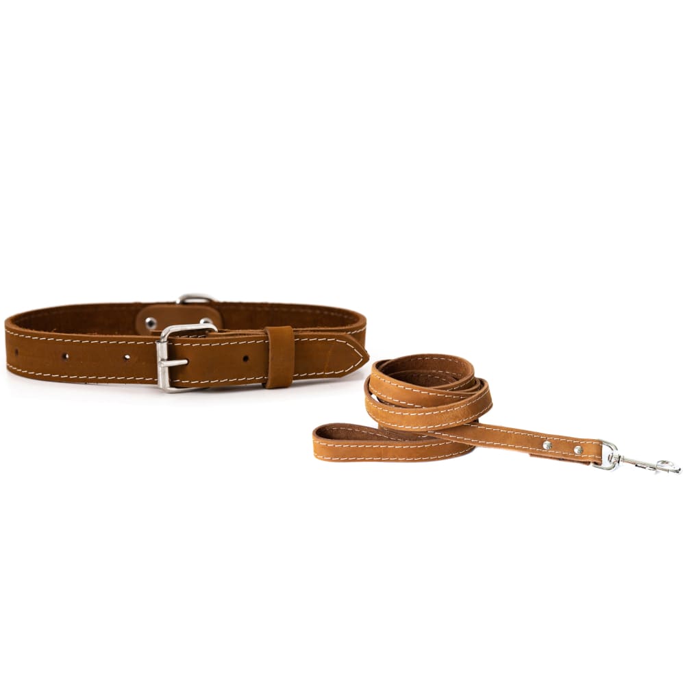 Traditional Style Leather Collar and Leash Set - Dog