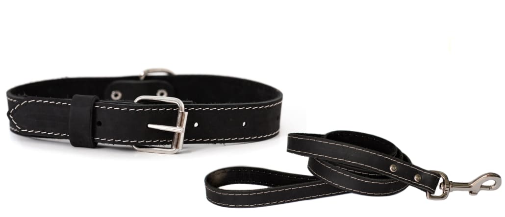 Traditional Style Leather Collar and Leash Set - Dog