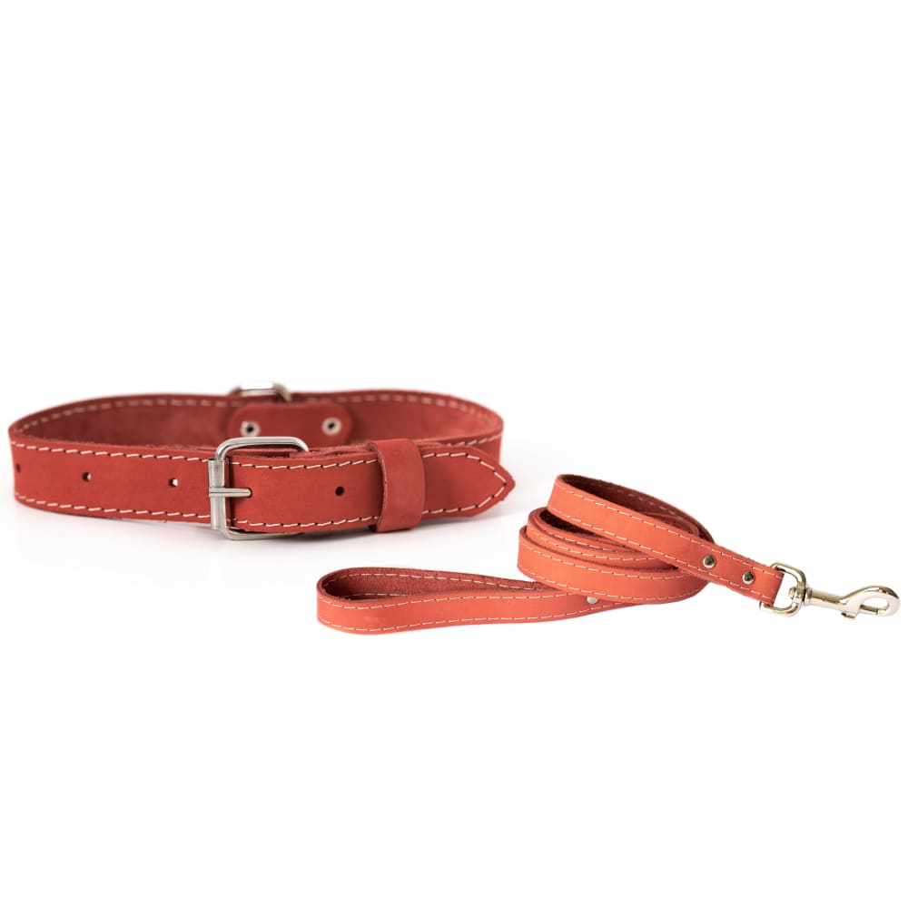Traditional Style Leather Collar and Leash Set - Dog