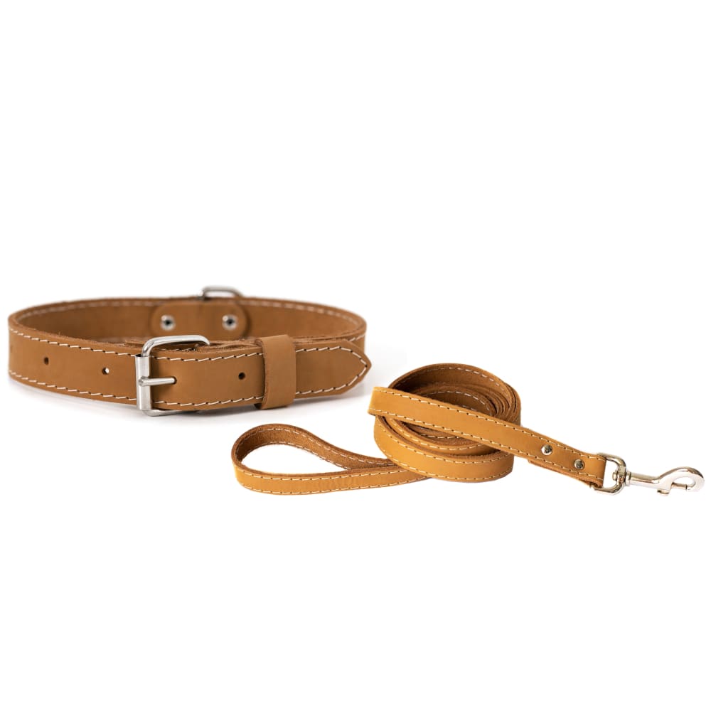 Traditional Style Leather Collar and Leash Set - Dog