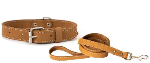 Traditional Style Leather Collar and Leash Set - Dog