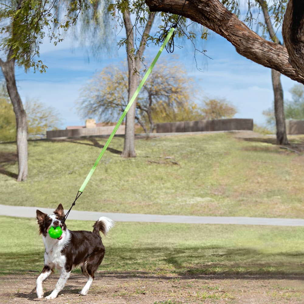 Tree Tugger - Toss and Retrieve Dog Toy