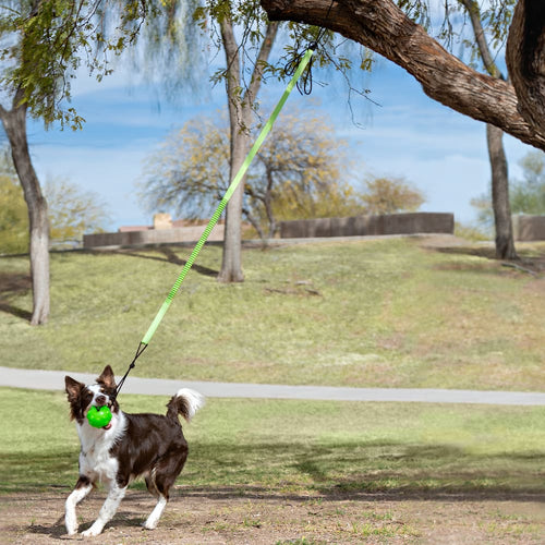 Tree Tugger - Toss and Retrieve Dog Toy