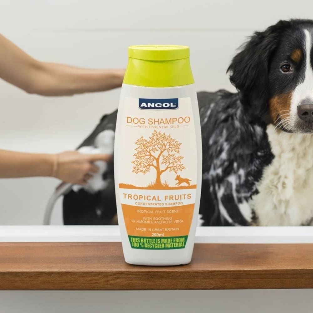 Tropical Fruit Dog Shampoo – Gentle Puppy Safe Essential