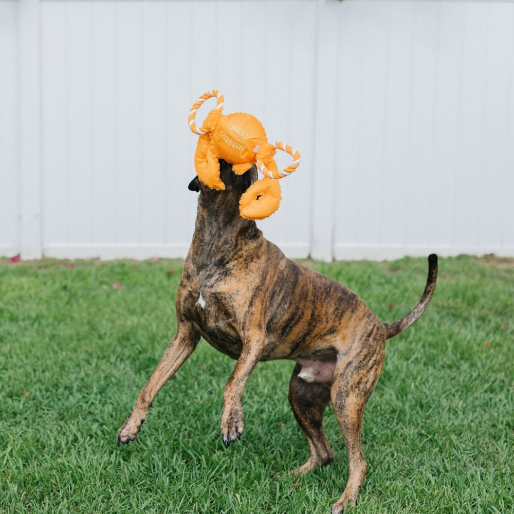 Tug-a-Mals - Toss and Retrieve Dog Toy