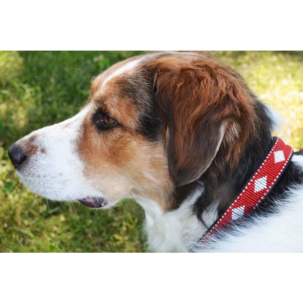 Unity Beaded Dog Collar - Dog Collars - Maasai