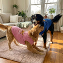 Wag It Like It’s Hot Dog Shirt - Funny Dog Shirts