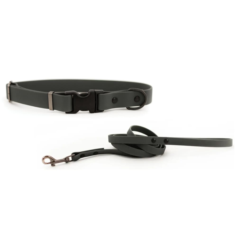Waterproof Collar and Leash Set - Dog Collars - Euro Style