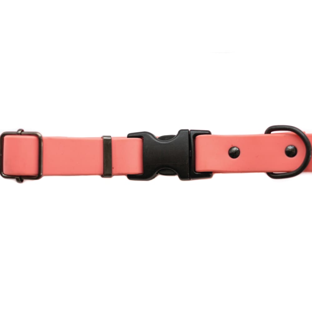 Waterproof Coral Reef Super Soft PVC Dog Collar - Dog