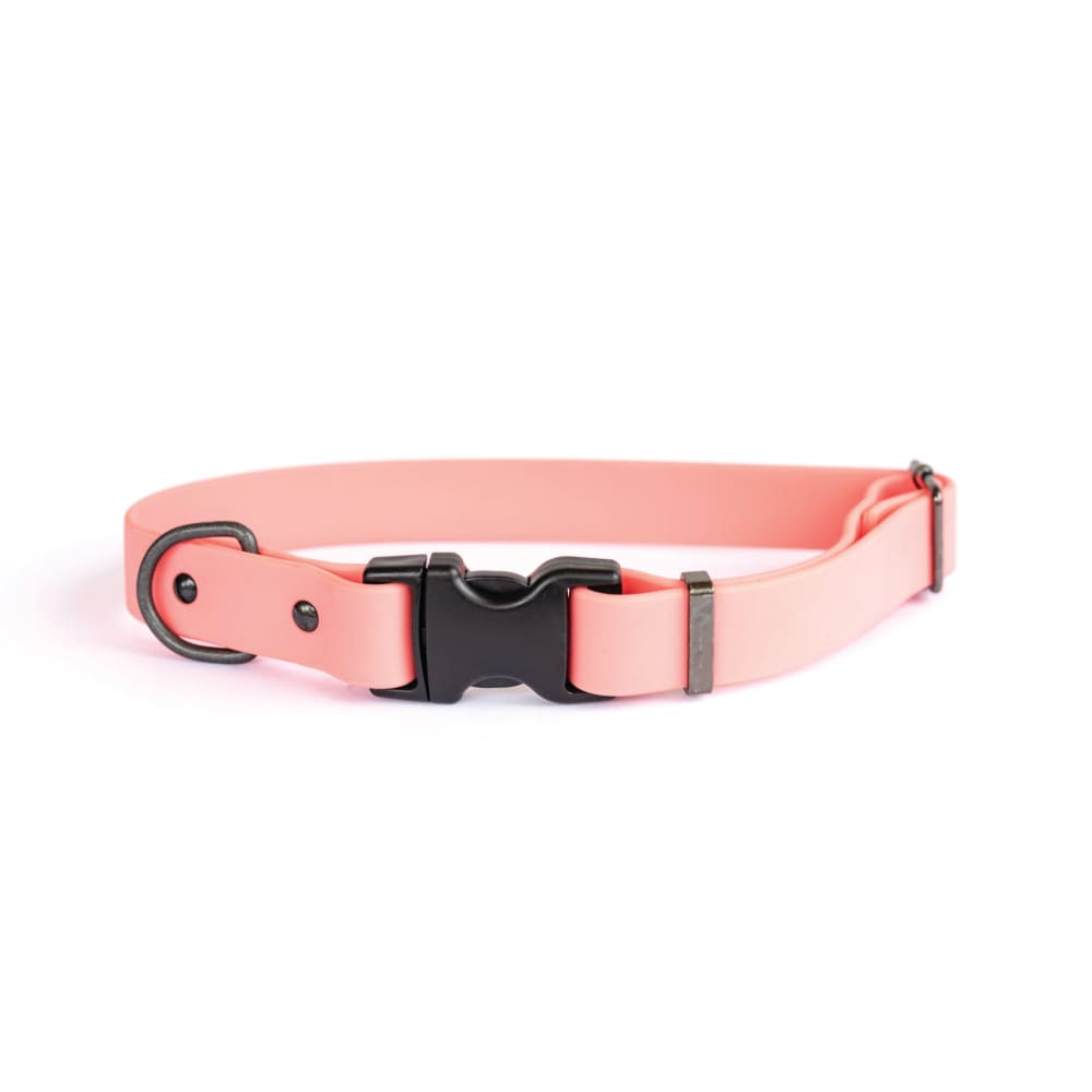 Waterproof Coral Reef Super Soft PVC Dog Collar - Dog