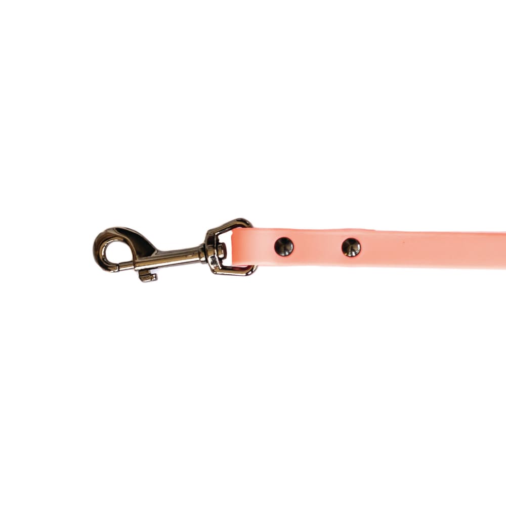 Waterproof Coral Reef Super Soft PVC Dog Leash - Dog Leash