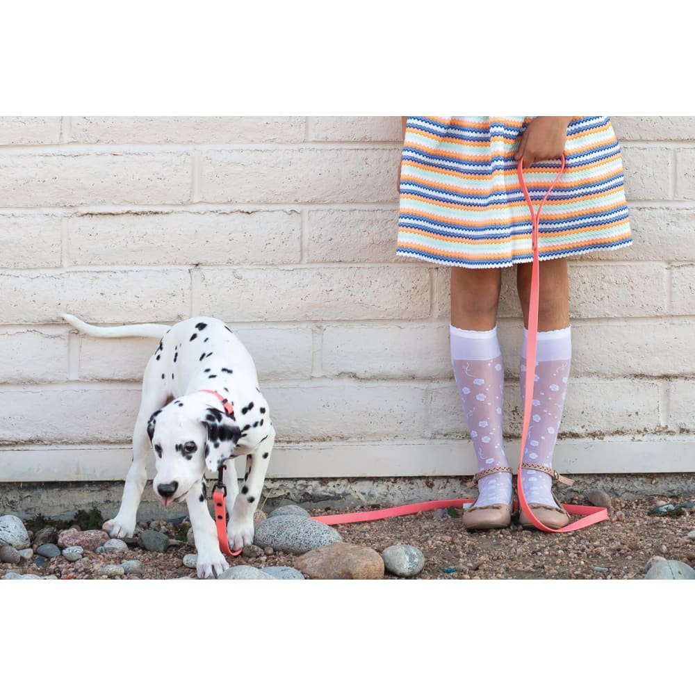 Waterproof Coral Reef Super Soft PVC Dog Leash - Dog Leash