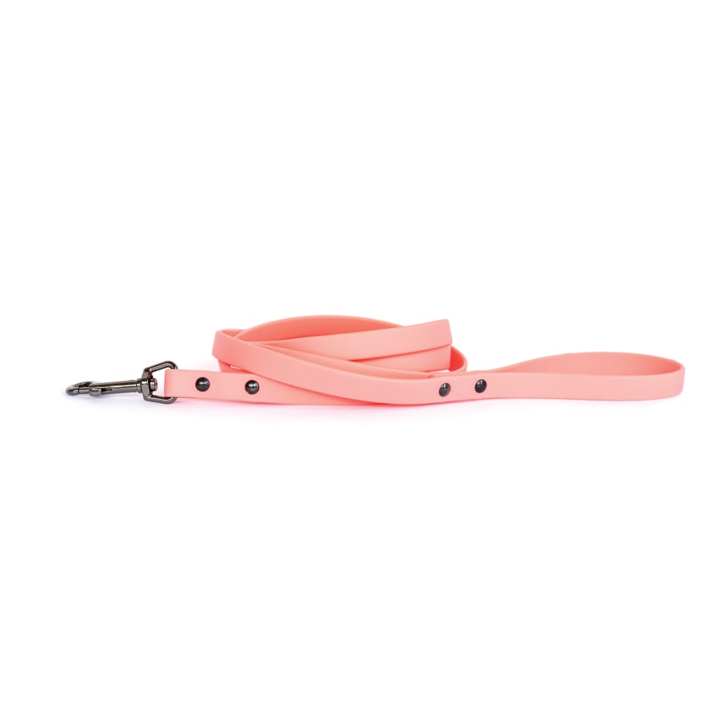 Waterproof Coral Reef Super Soft PVC Dog Leash - Dog Leash