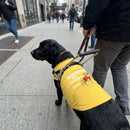 Working Now. Snuggles Later. Dog Shirt - Service Dog Shirts