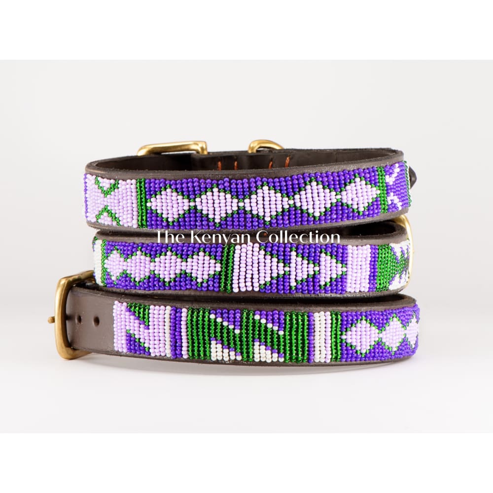 Yesterday Today Tomorrow (YTT) Beaded Dog Collar - Dog