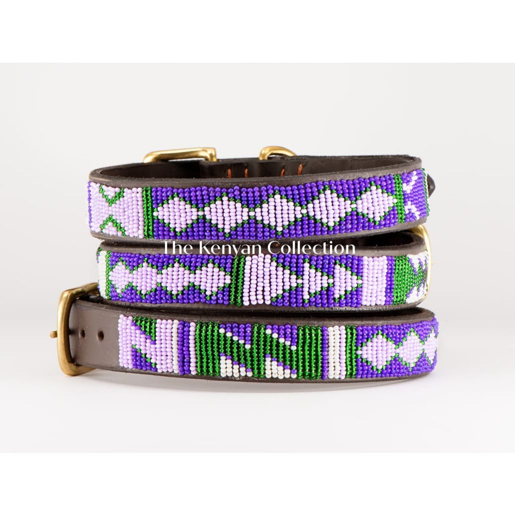Yesterday Today Tomorrow (YTT) Beaded Dog Collar - Dog
