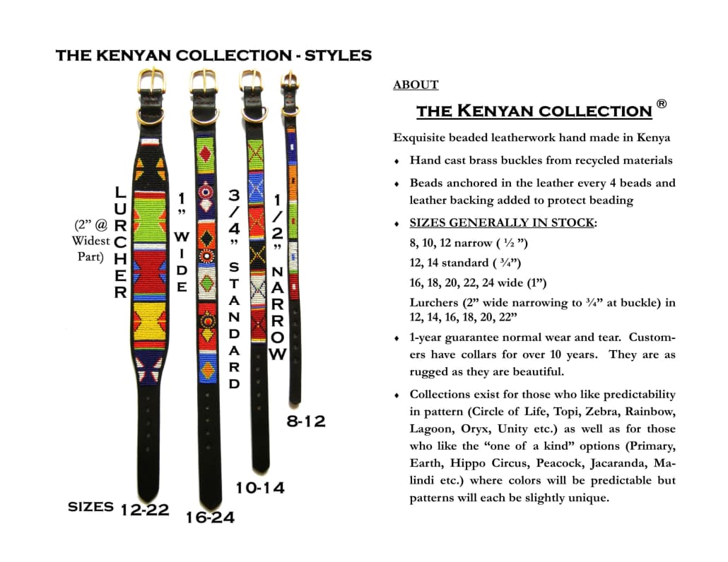 Yesterday, Today, Tomorrow (YTT) Beaded Dog Collar
