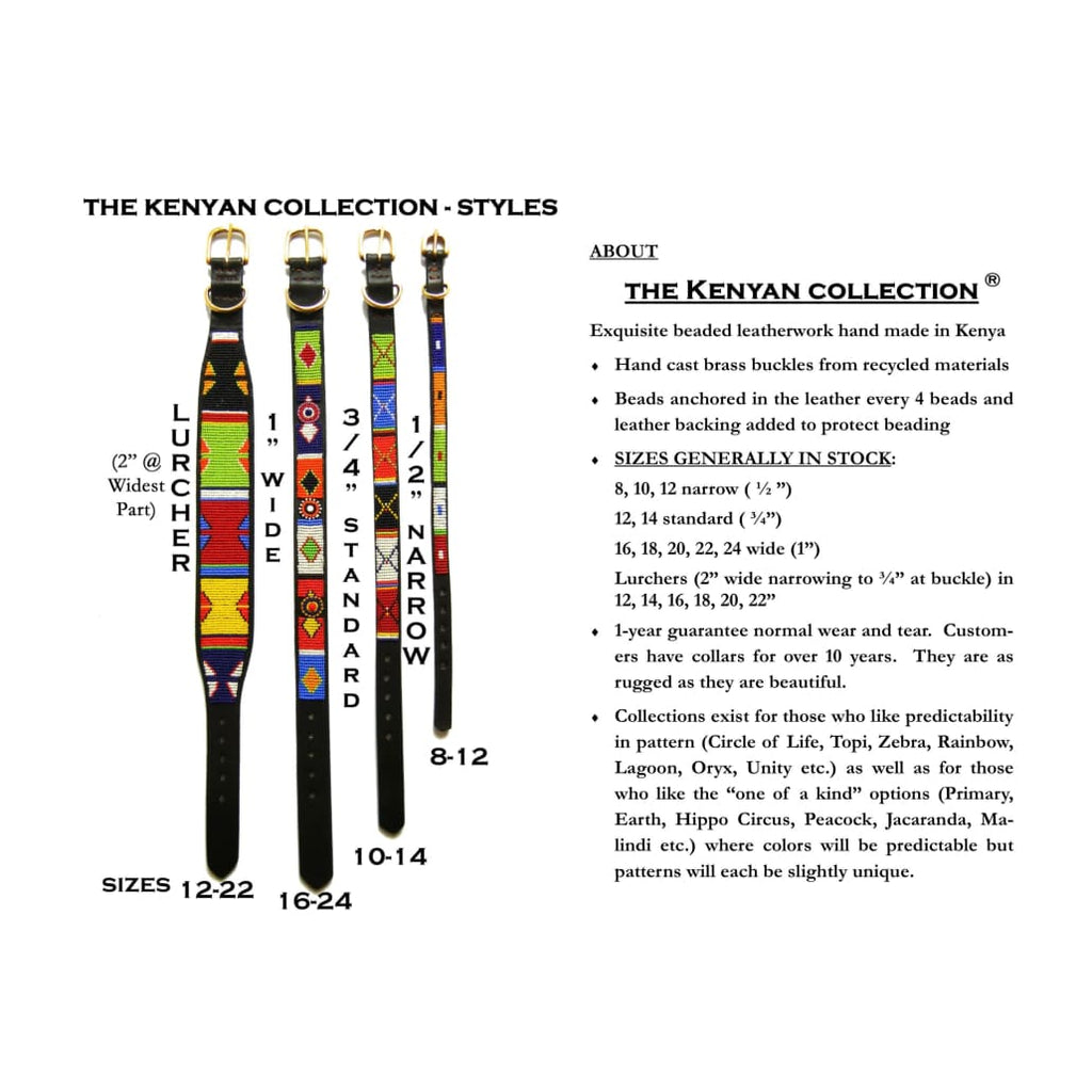 Yesterday Today Tomorrow (YTT) Beaded Dog Collar - Dog