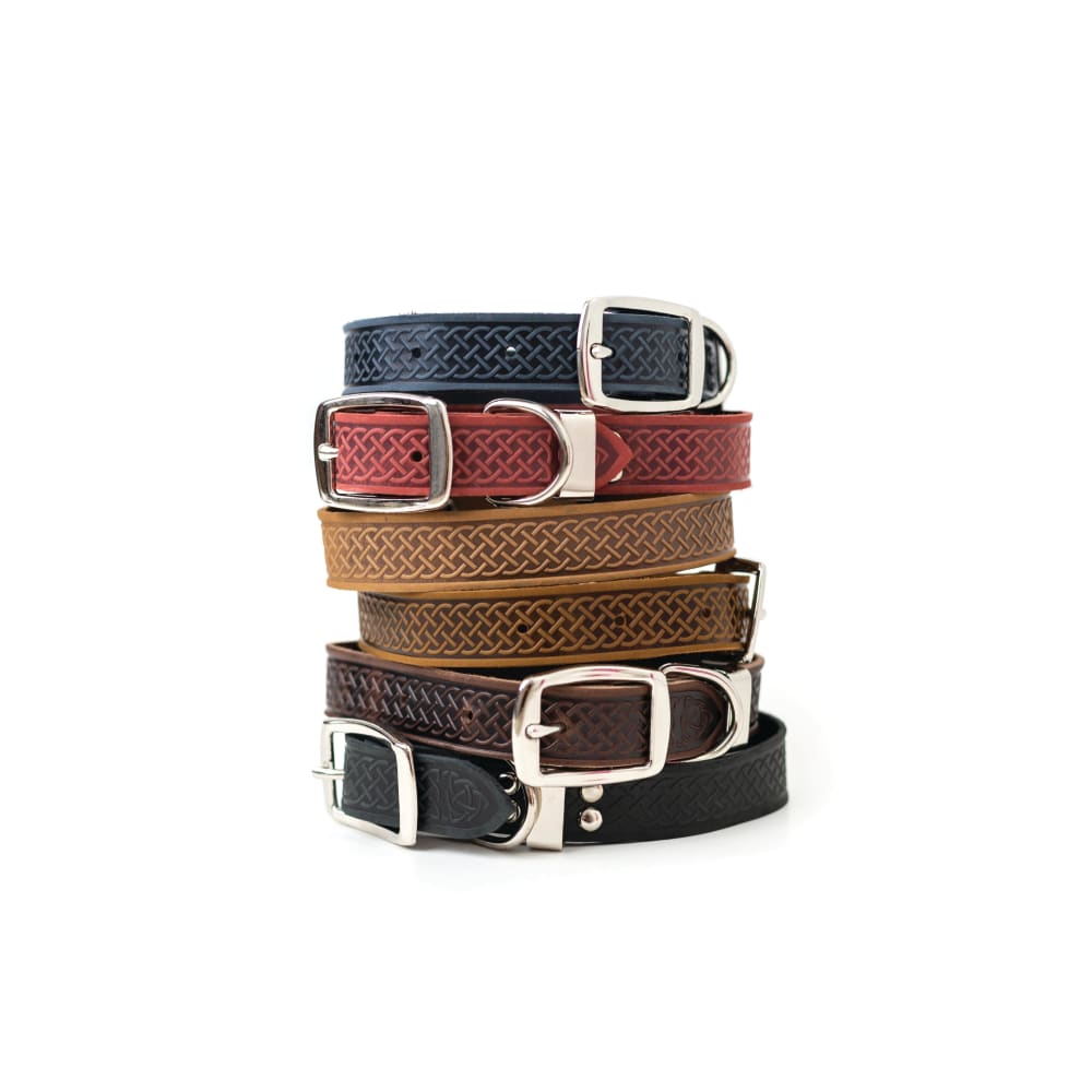 Z Celtic Style Leather Dog Collar - Dog Collars - Euro Style