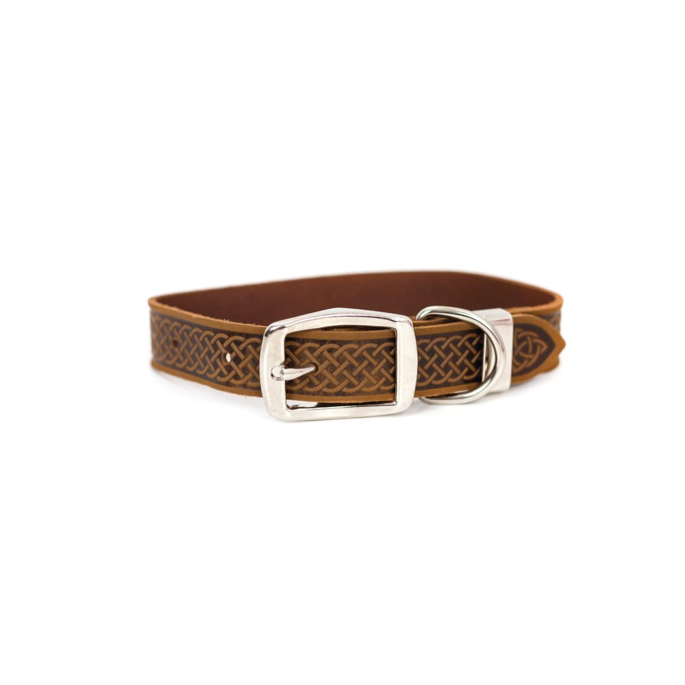 Z Celtic Style Leather Dog Collar - Dog Collars - Euro Style