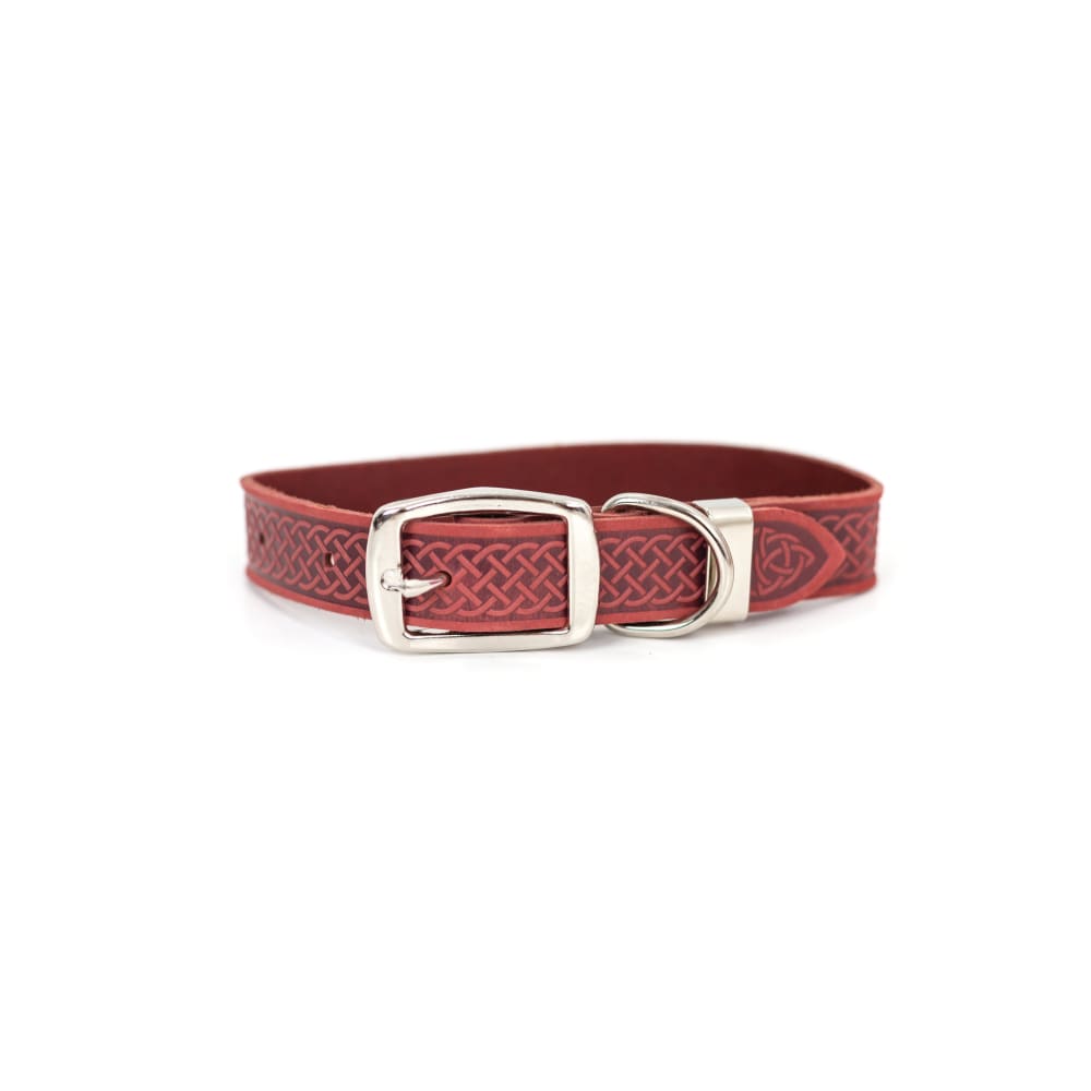 Z Celtic Style Leather Dog Collar - Dog Collars - Euro Style