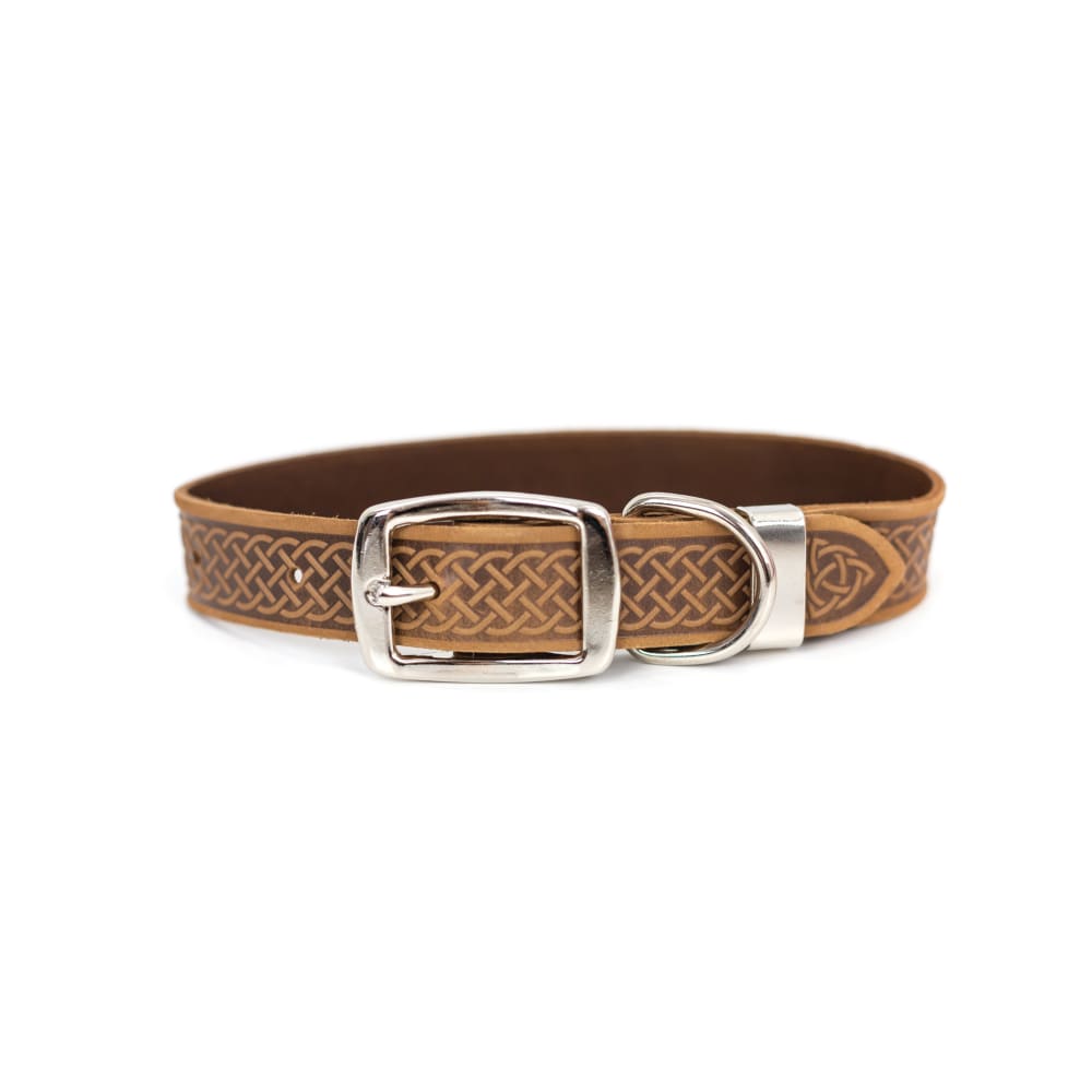 Z Celtic Style Leather Dog Collar - Dog Collars - Euro Style