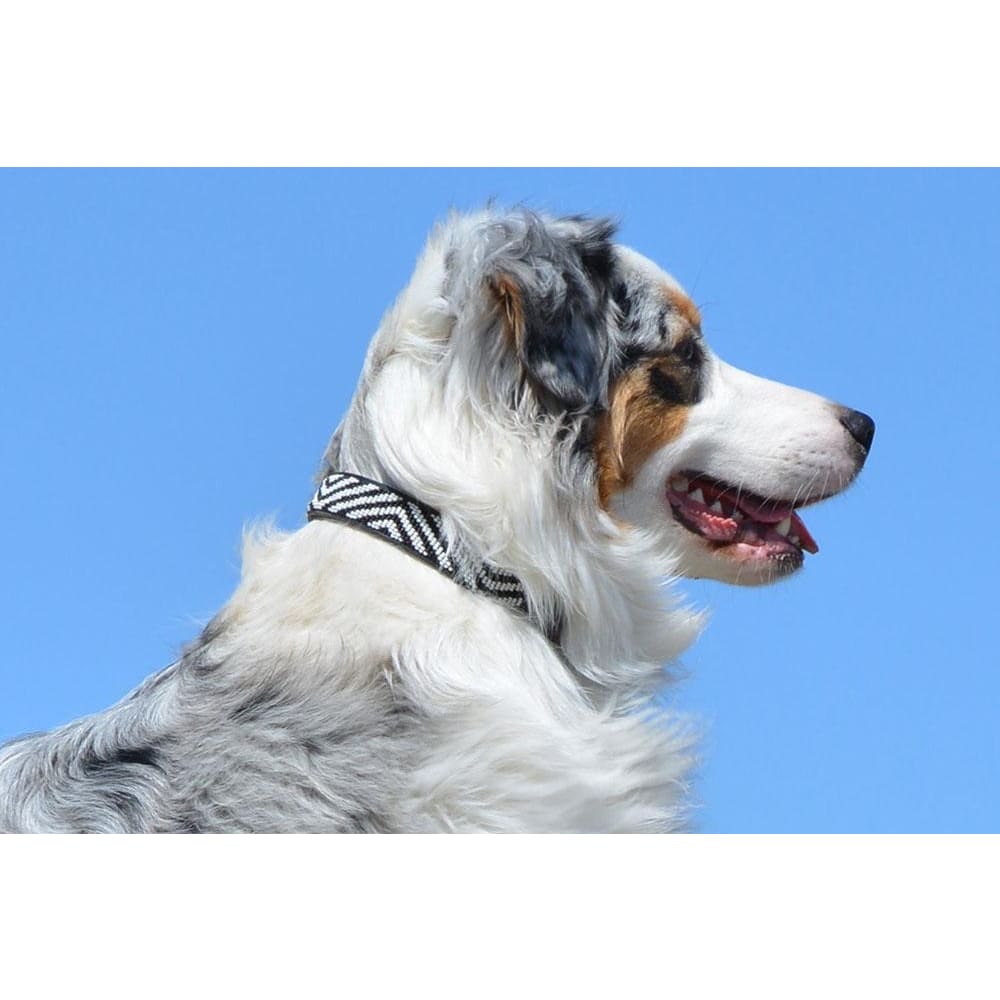 Zebra Beaded Dog Collar - Dog Collars - Maasai