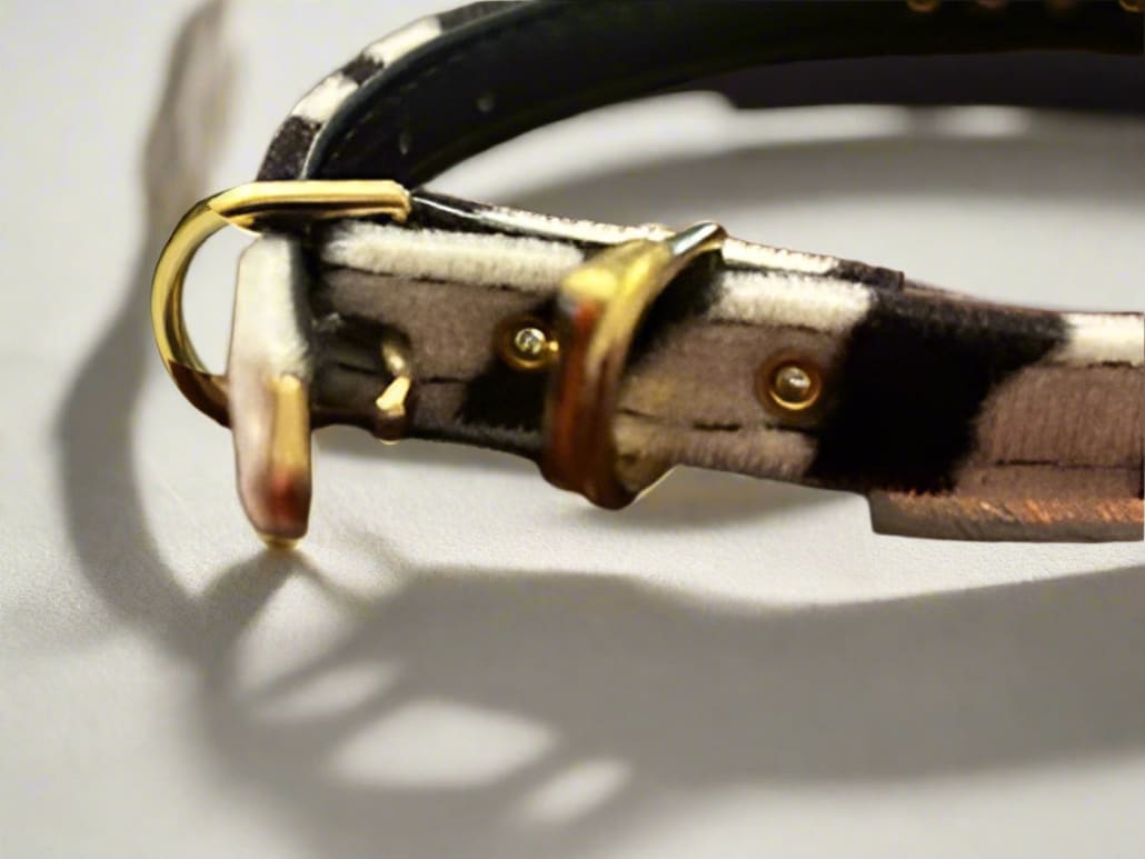 Zebra Stripe Clear Crystal Jewel Bow Dog Collar - Fits 9-11” Neck