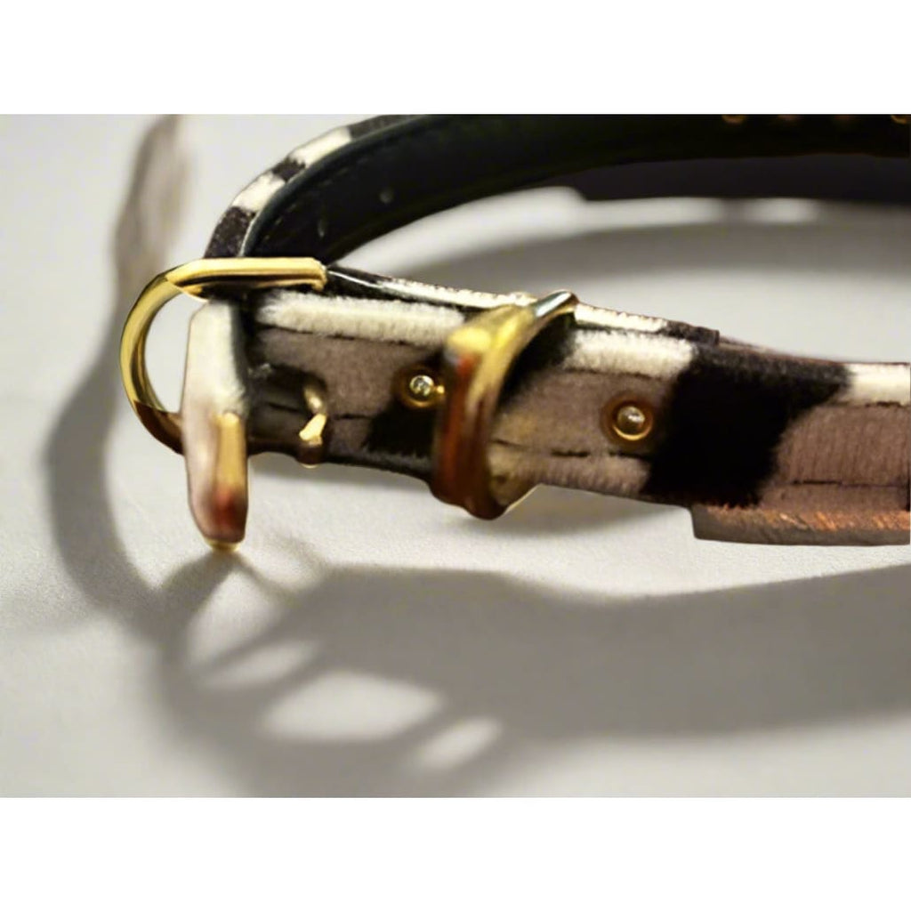 Zebra Stripe Clear Crystal Jewel Bow Dog Collar - Fits