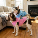 Zero Chill 100% Cuteness Dog Shirt - Statement Dog Shirts